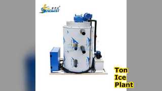 Sterowanie PLC maszyny do produkcji płatków lodowych Ton